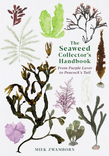 KNYGA Miek Zwamborn Zwamborn Miek Seaweed Collector's Handbook: From Violetinė Laver to Peacock’s Tail