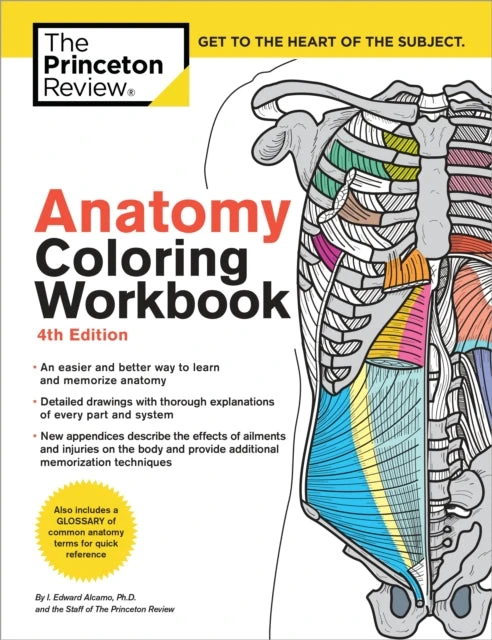 KNYGA Princeton Review Staff Anatomy Coloring Workbook, 4th Edition