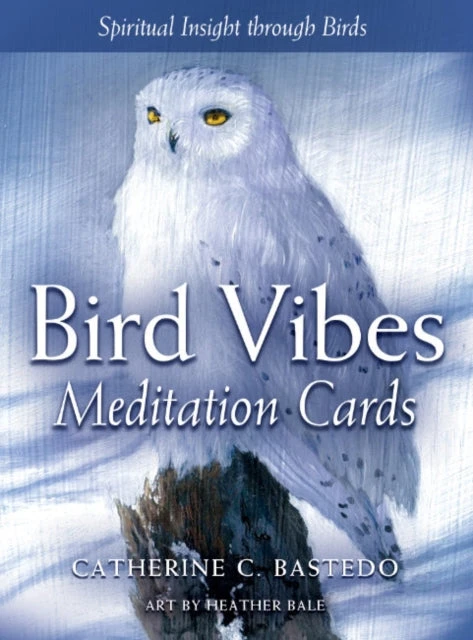 Beyond Words Meditacijos Kortos Bird Vibes Beyond Woords