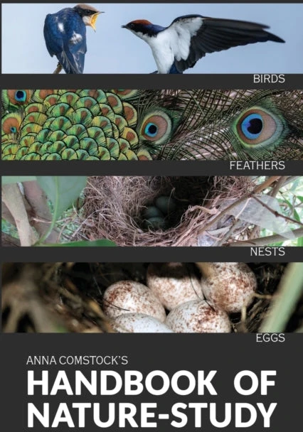 KNYGA Bookshop Handbook Of Nature Study in Color - Birds