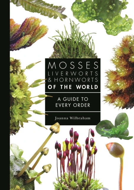 KNYGA Bookshop Mosses, Liverworts, and Hornworts of the World