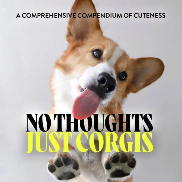 KNYGA Bookshop No Thoughts Just Corgis