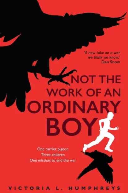 KNYGA Bookshop Not the Work of an Ordinary Boy