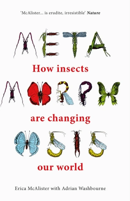 KNYGA Erica Mcalister Metamorphosis