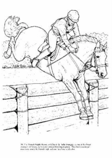 KNYGA John Big Book of Horses to Color