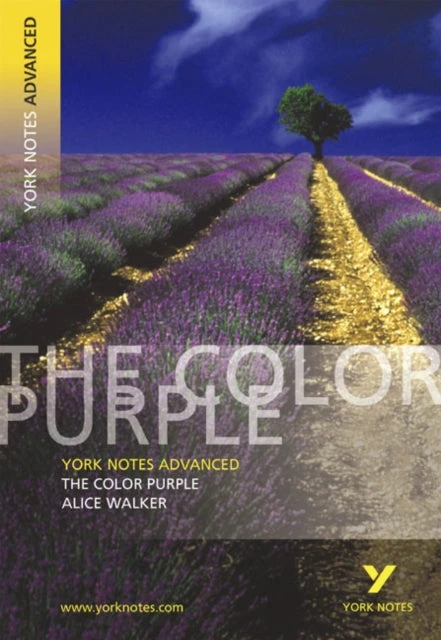 KNYGA Neil Mcewan Color Violetinė (York Notes Advanced) English Literature Study Guide - for 2026, 2027 exams
