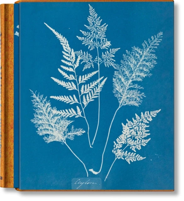 KNYGA Peter Walther Anna Atkins. Cyanotypes