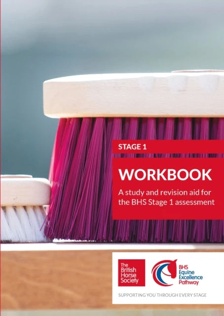 KNYGA Bookshop BHS Stage 1 Workbook