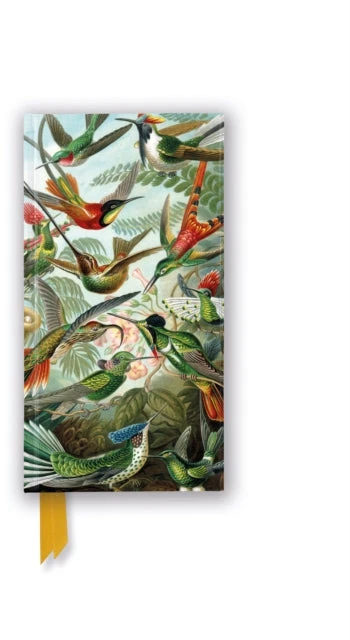 KNYGA Bookshop Knygynas Ernst Haeckel: Kolibriai (plonas užrašų knygelė su blizgia danga)