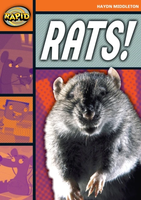 KNYGA Haydn Middleton Rapid Reading: Rats! (Stage 4, Level 4B)