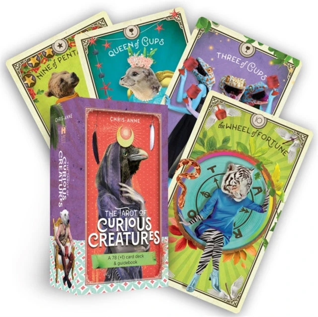 Taro Kortos Hay House The Tarot Of Curious Creatures