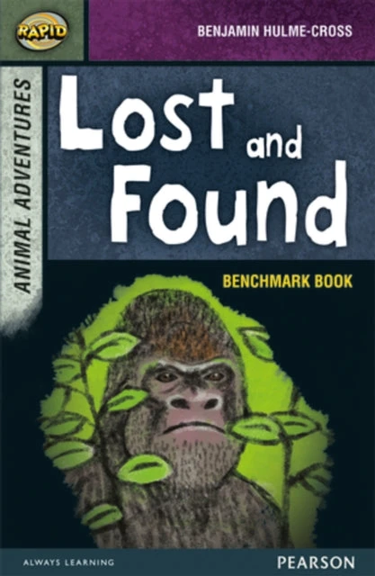 KNYGA Dee Reid Rapid Stage 7 Assessment book: Lost and Found