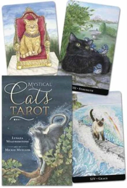 KNYGA Llewellyn Mystical Cats Tarot Kortos
