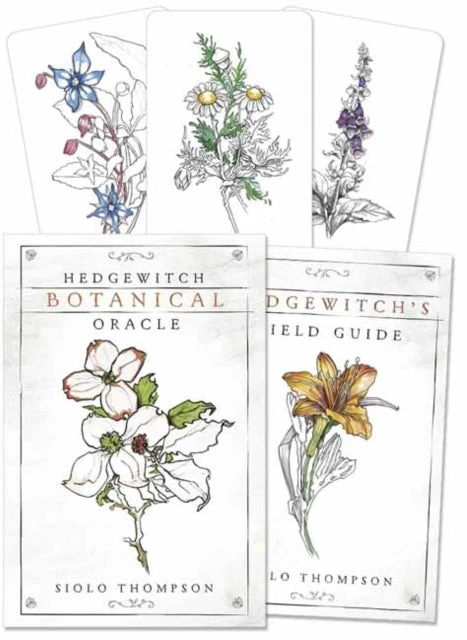 Llewellyn Hedgewitch Botanical Oracle Kortos