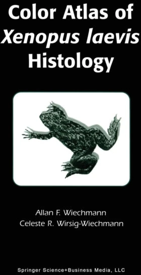 KNYGA Allan Wiechmann Color Atlas of Xenopus laevis Histology