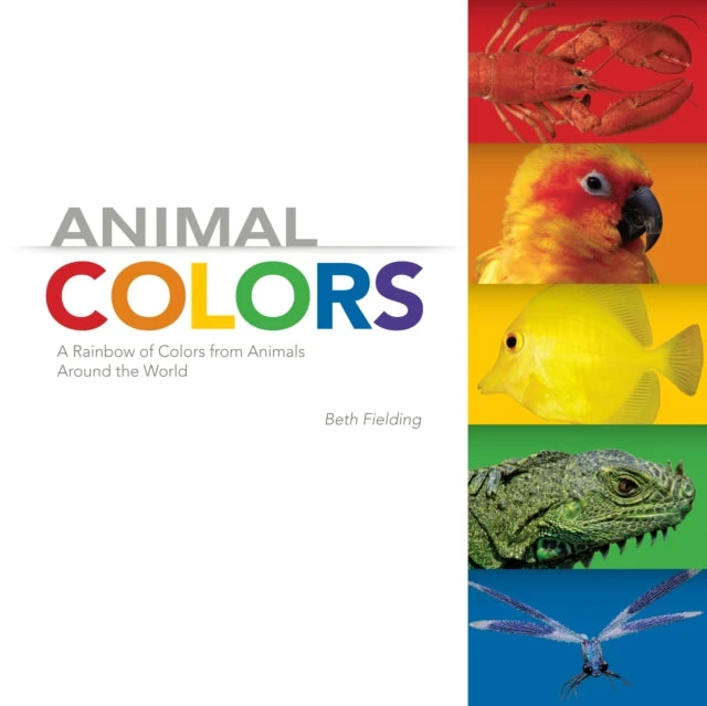 KNYGA Beth Fielding Animal Colors