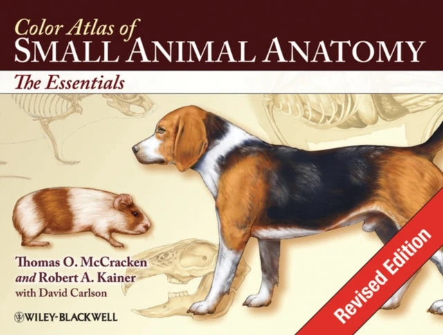 KNYGA Bookshop Color Atlas of Small Animal Anatomy