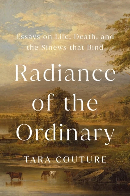 KNYGA Bookshop Radiance of the Ordinary