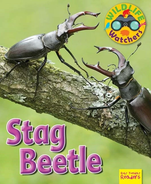 KNYGA Ruth Owen Wildlife Watchers: Stag Beetle