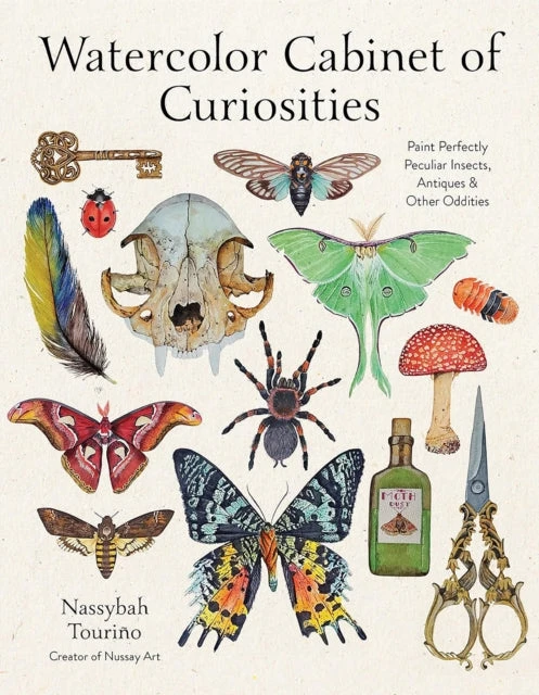 KNYGA Tourino Nassybah Watercolor Cabinet of Curiosities