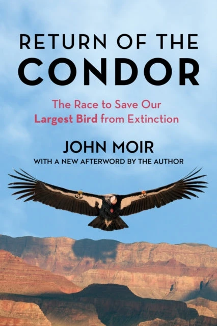 KNYGA John Moir Return of the Condor