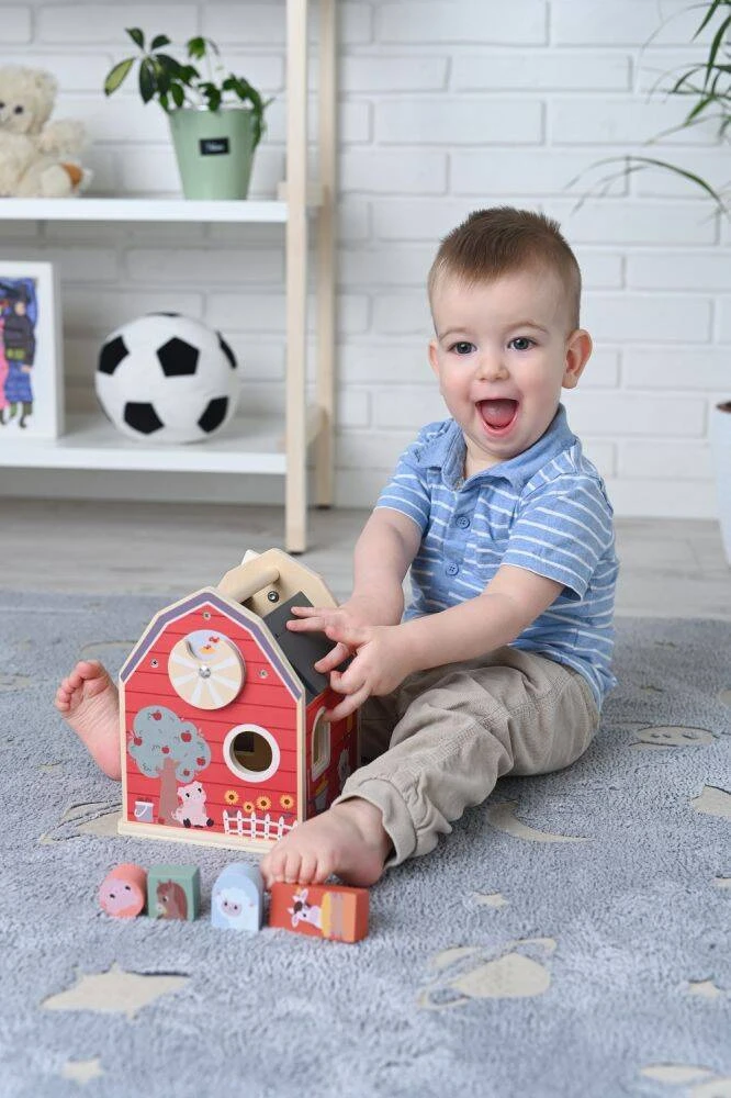 Adam Toys Medinis ūkio formos rūšiavimo žaislas su gyvūnėliais, vaikams nuo 12 mėn., spalvotas