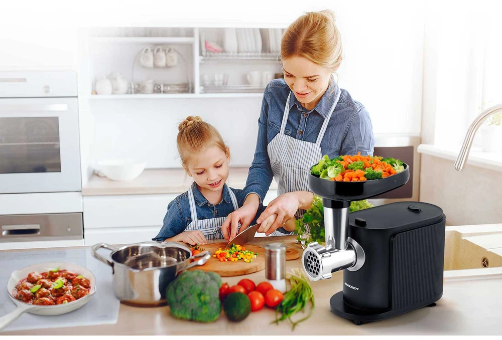 Mėsmalė BD-600 Berdsen mėsos malimo mašina 300/800W