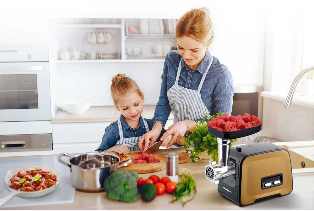 Mėsmalė Berdsen BD-601B mėsos malimo mašina 450/1200W