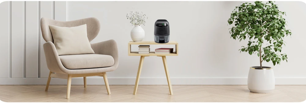 Berdsen BR-68B juodas oro sausintuvas su automobilio adapteriu