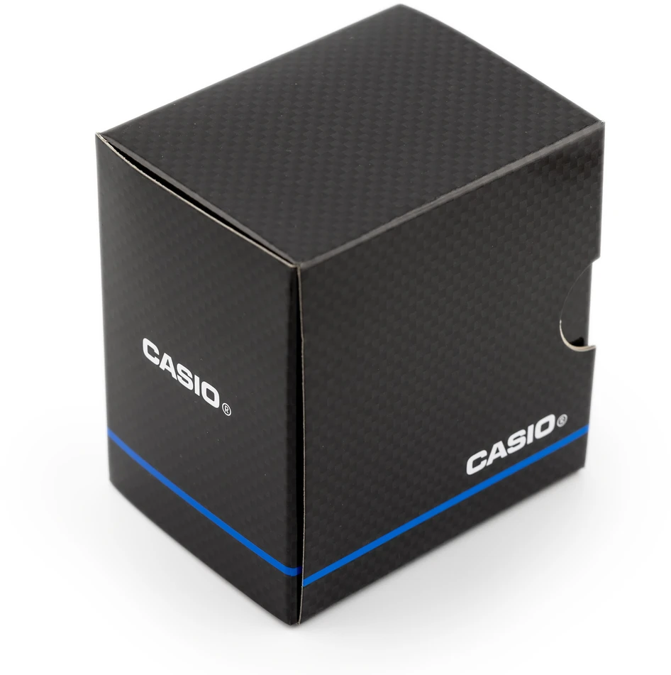 Laikrodis Casio Collection MTP-1302PD-2A2VEF