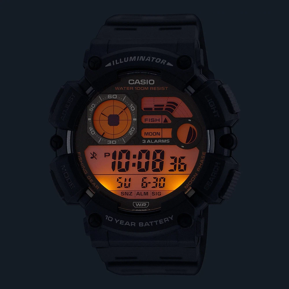 Laikrodis Casio WS-1500H-2AVEF