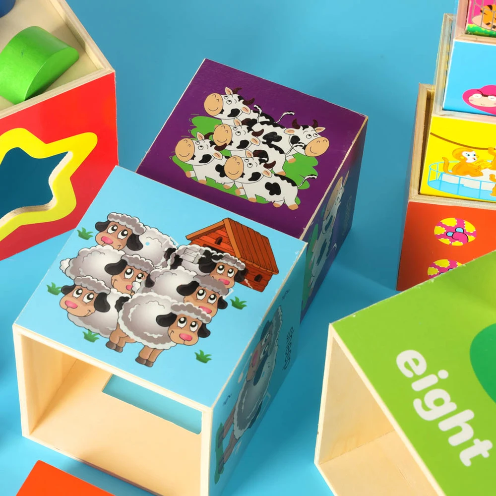 Ikonka Edukacinis rūšiavimo žaislas