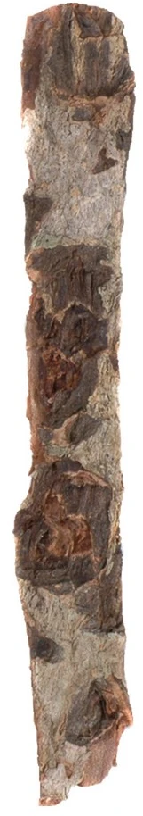 Dennerle Nano Catappa bark
