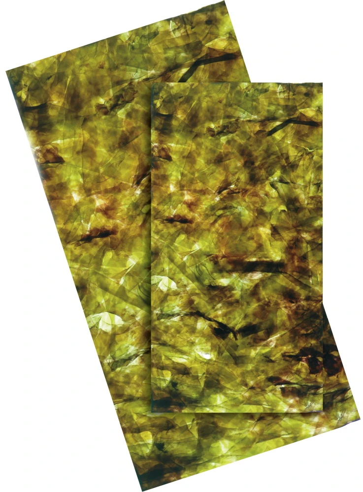 Dennerle Crusta Algae Wafers 40vnt