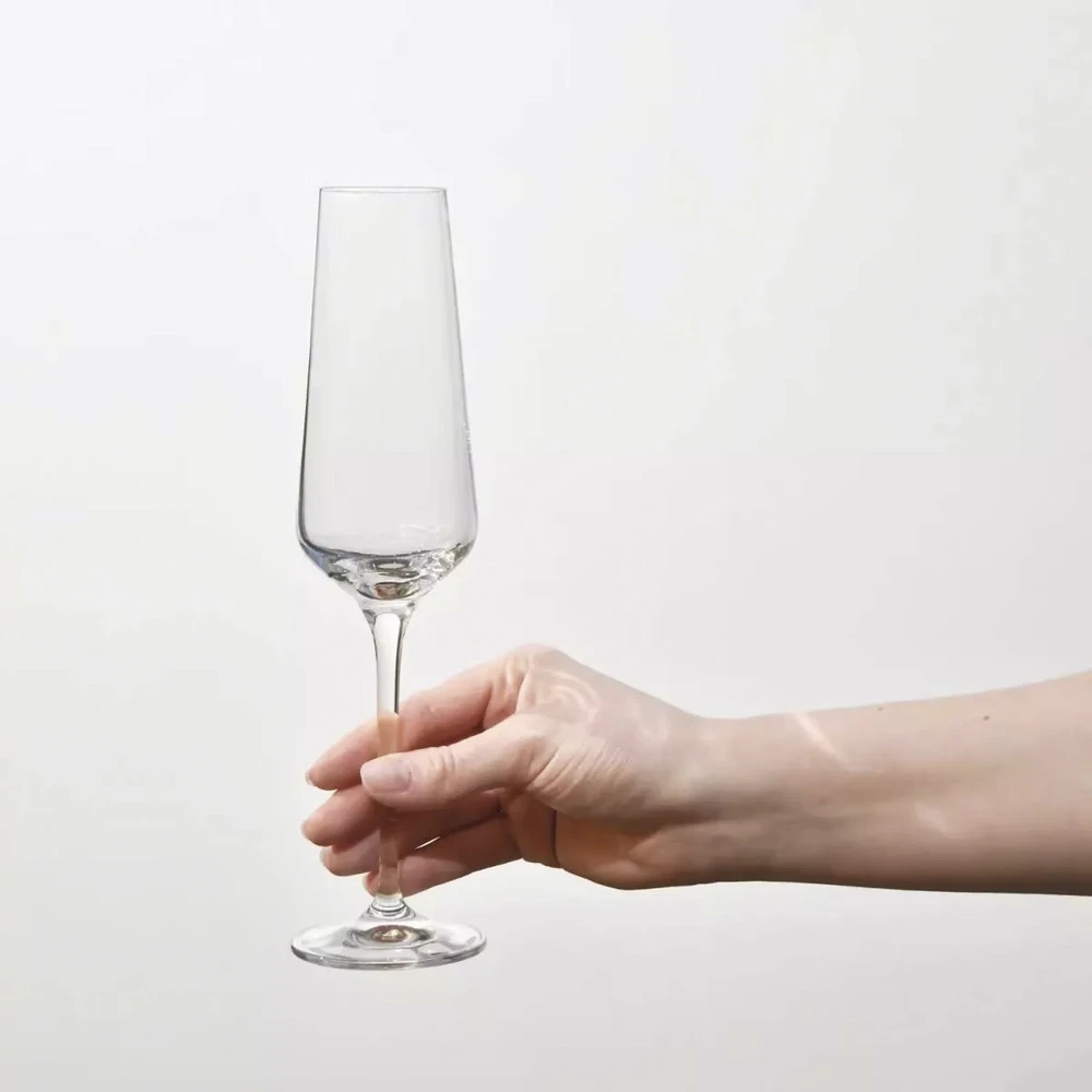 Divinto Elegantiška prosecco ir šampano dėžė su stiklu, nešiojama