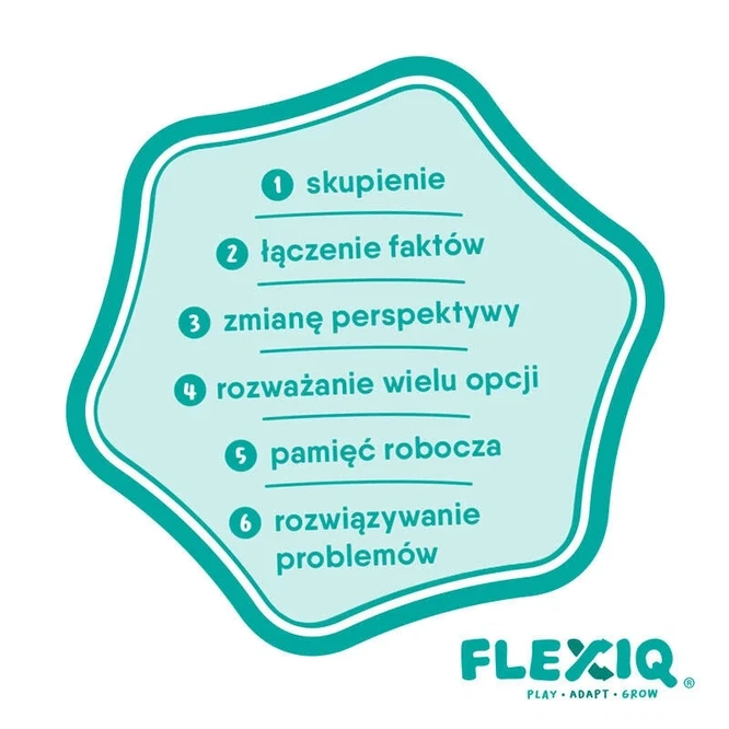 Flexiq Inovatyvi edukacinė stalo žaidimo dėlionė „Listonosas“ vaikams nuo 3 metų, lavina dėmesį ir refleksą