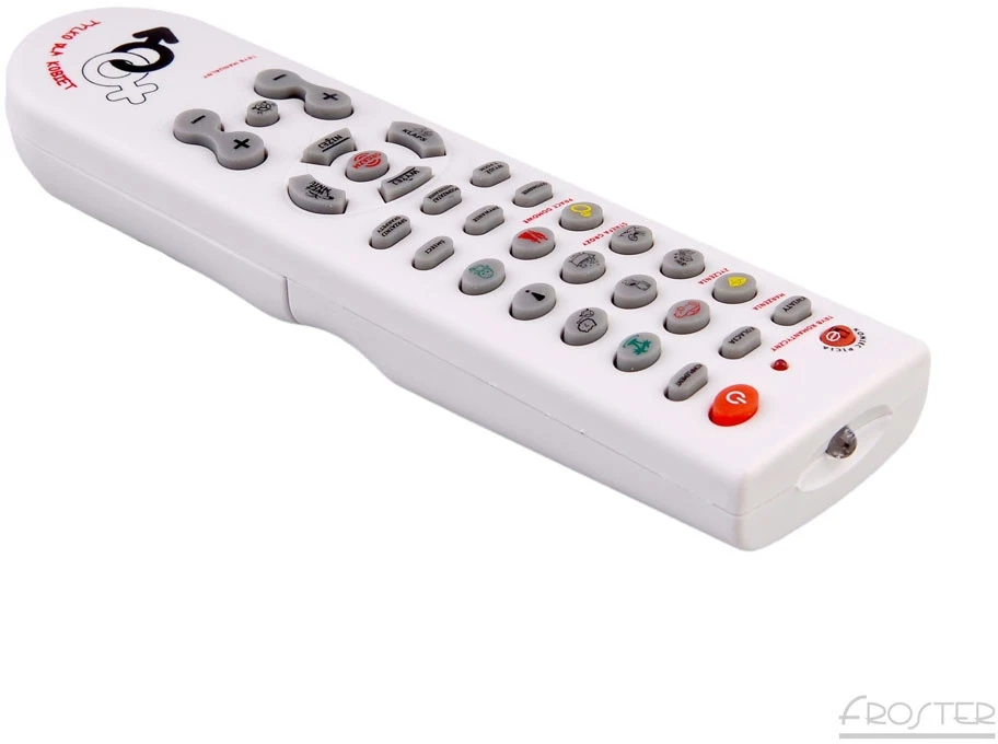 Froster Elektroninis namų darbų pagalbininkas vyrams, ne žaislas