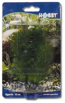 HOBBY Dirbtinė akvariumo augalų dekoracija „Egeria“
