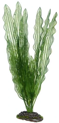 HOBBY Dirbtinė akvariumo augalo dekoracija „Aponogeton“, 40 cm