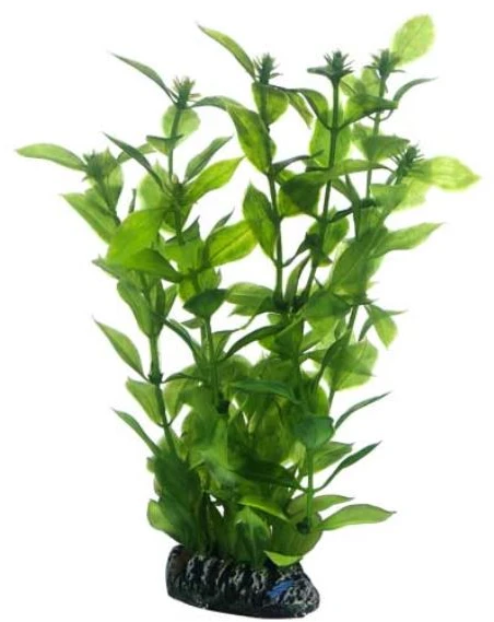 HOBBY Dirbtinis akvariumo augalas Hygrophila, 20 cm