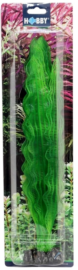 HOBBY Dirbtinė akvariumo augalo dekoracija „Aponogeton“, 40 cm