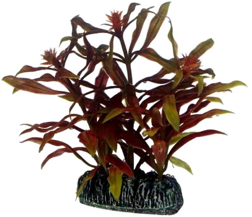HOBBY Dirbtinė akvariumo augalo dekoracija 7 cm