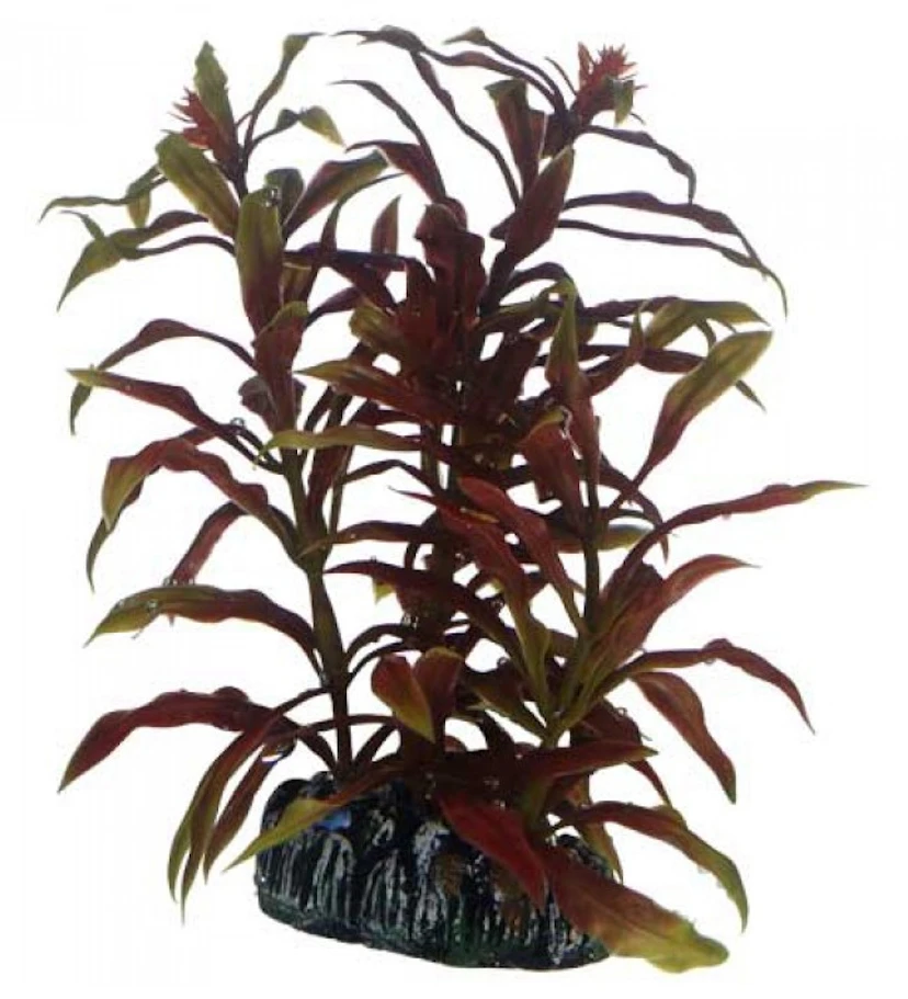 HOBBY Dirbtinė akvariumo augalo dekoracija, 13 cm