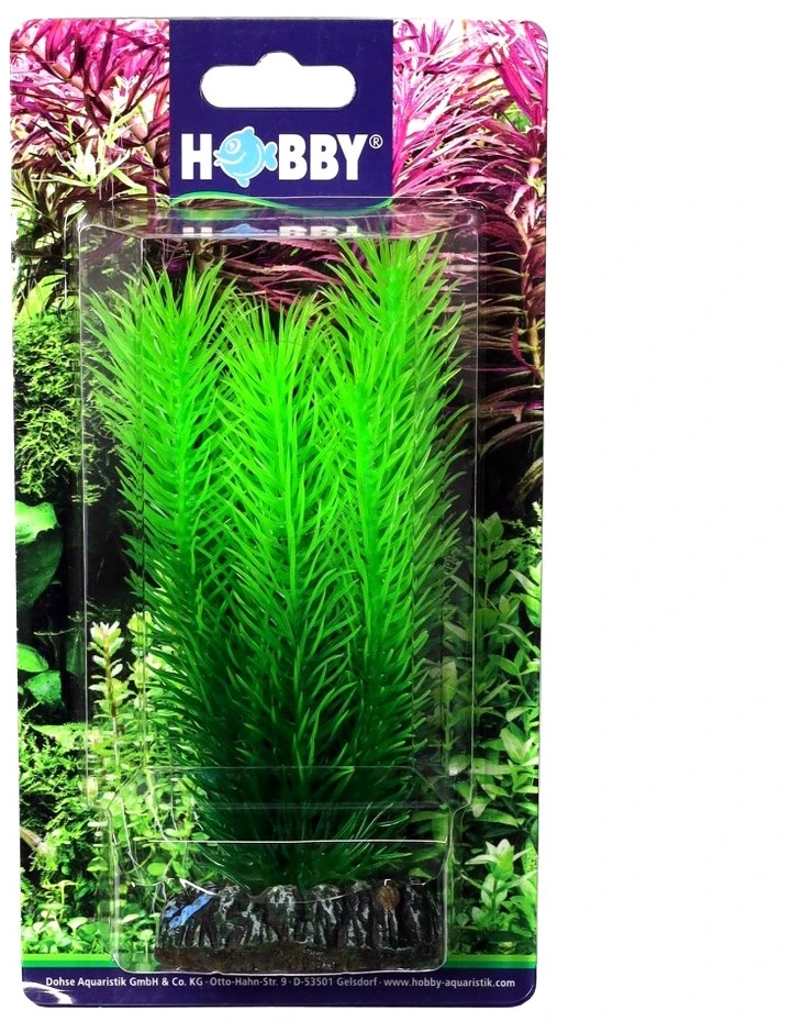HOBBY Dirbtinė akvariumo augalų dekoracija Mayaca 16 cm