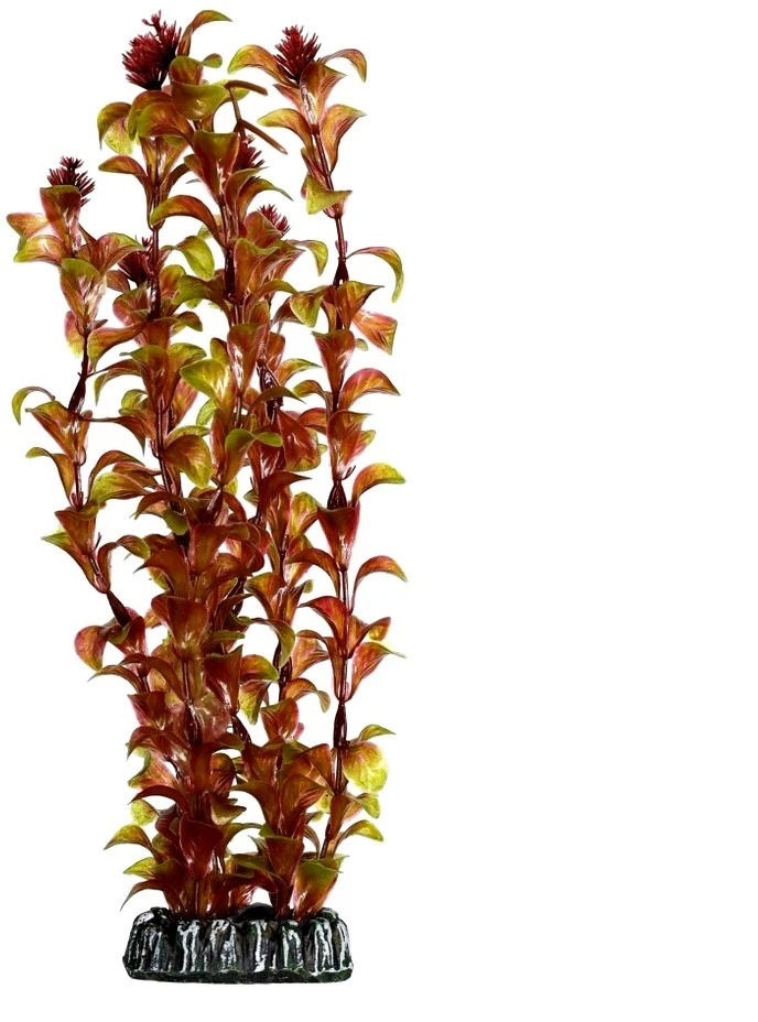 HOBBY Dirbtinė akvariumo augalų dekoracija „Rotala“, 30 cm