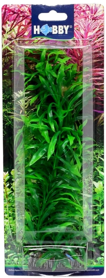 HOBBY Dirbtinė akvariumo augalų dekoracija, 25 cm