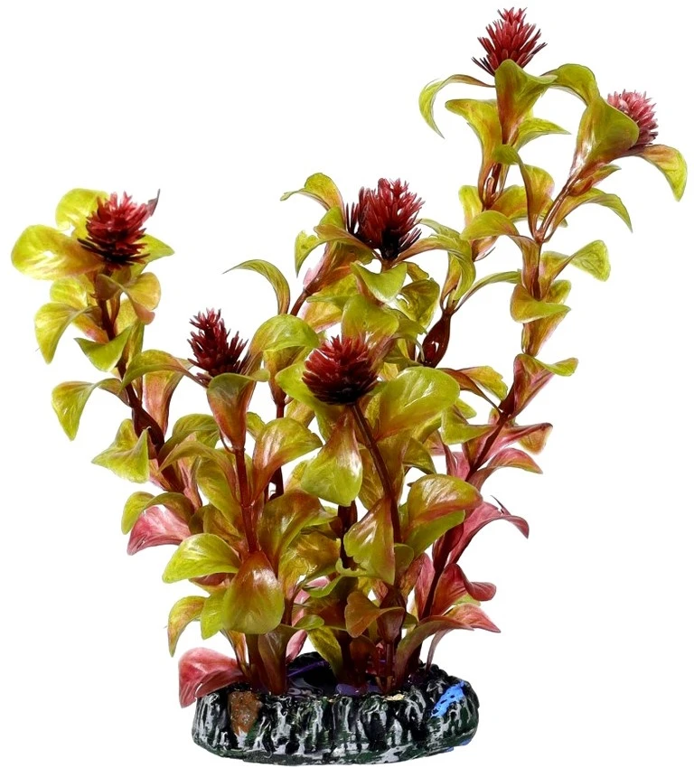 HOBBY Dirbtinė akvariumo augalų dekoracija „Rotala“