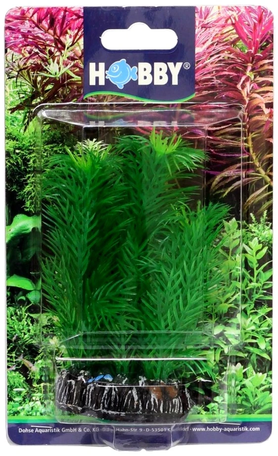 HOBBY Dirbtinė akvariumo augalų dekoracija „Egeria“
