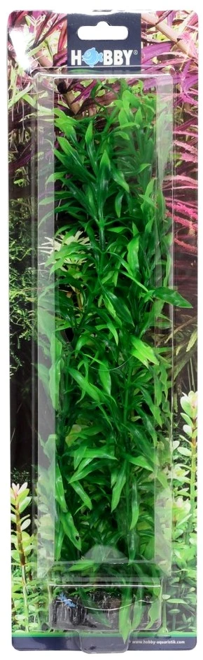 HOBBY Dirbtinė akvariumo augalų dekoracija, 34 cm