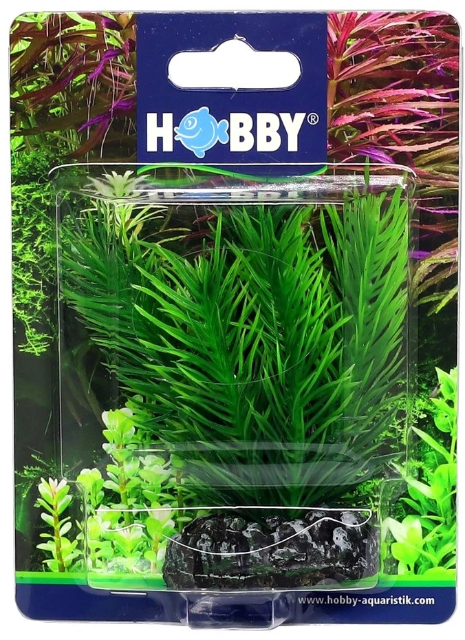 HOBBY Dirbtinė akvariumo augalų dekoracija Mayaca 7 cm